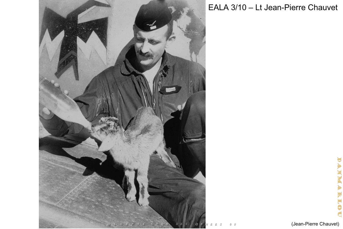 200- ARMEE DE L'AIR EN ALGERIE 1945-1962-48 (56).jpg